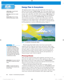 2.4 Energy Flow in Ecosystems