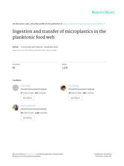 Ingestion_and_transfer_of_microplastics_in_the