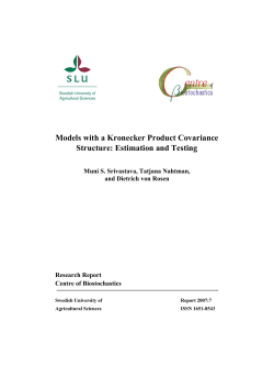 Models with a Kronecker Product Covariance Structure: Estimation