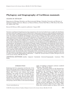 Phylogeny and biogeography of Caribbean mammals