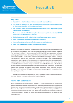 Hepatitis E - WHO South