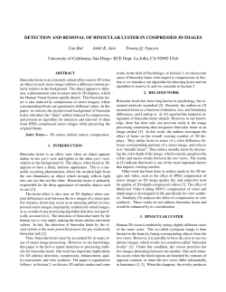 DETECTION AND REMOVAL OF BINOCULAR LUSTER IN