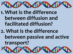 1. What is the difference between diffusion and facilitated diffusion
