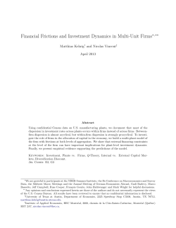 Financial Frictions and Investment Dynamics in Multi