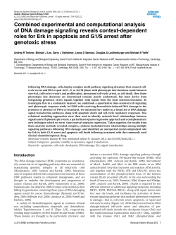 Combined experimental and computational analysis of DNA