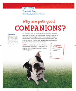The Last Dog