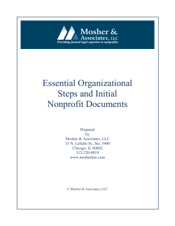 Essential Organizational Steps and Initial Nonprofit Documents
