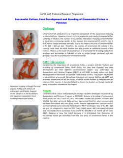 Successful Culture, Feed Development and Breeding of Ornamental