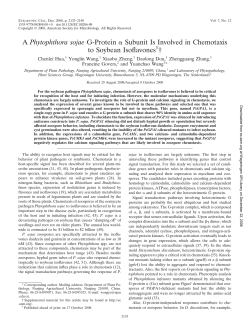 A Phytophthora sojae G-Protein &alpha; Subunit Is Involved in Chemotaxis
