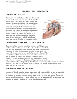 Rotator cuff repair rehabilitation protocol Yale