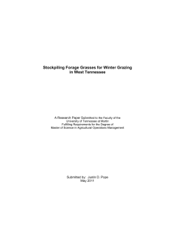 Stockpiling Forage Grasses for Winter Grazing in West