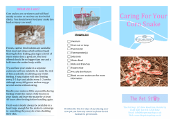 Caring For Your Corn Snake