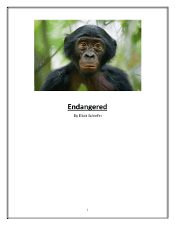 Endangered - Lutz Prep