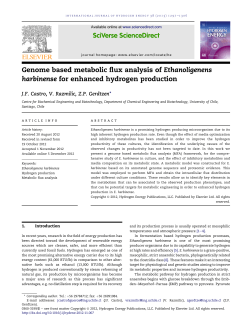 Genome based metabolic flux analysis of Ethanoligenens