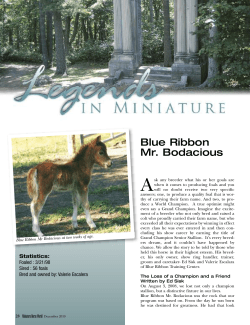 Blue Ribbon Mr. Bodacious