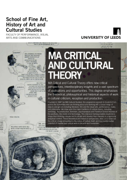 ma critical and cultural theory