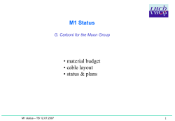 0.108 - LHCb Muon