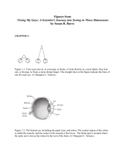 Figures from Fixing My Gaze: A Scientist`s Journey into