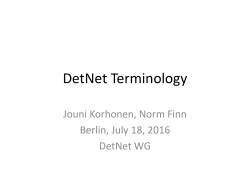 DetNet Terminology