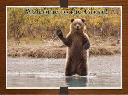 Grizzly Camp - Forsyth County Schools