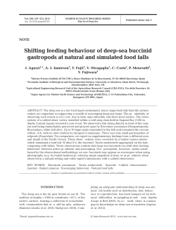 Shifting feeding behaviour of deep