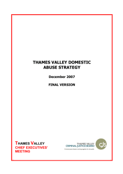 Thames Valley Domestic Violence Strategy Proposal
