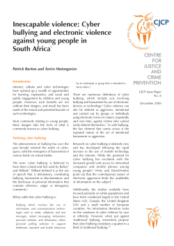 Cyber Bullying and Electronic Violence against Young People in
