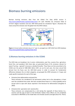 1) Biomass burning emissions in the CCDAS