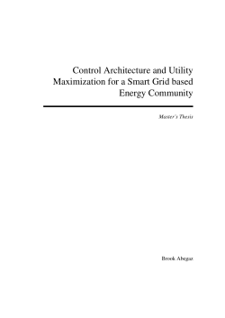 Control Architecture and Utility Maximization for a Smart