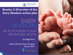 Overview of Every Newborn action plan &ndash; Joy Riggs