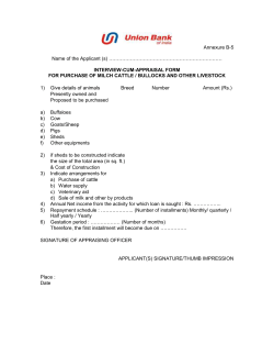 Agriculture Loan for Dairy/Cattle