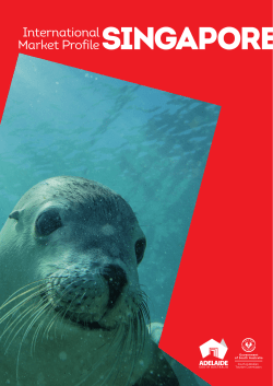 International Market ProfileSINGAPORE