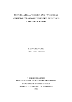 mathematical theory and numerical methods for gross