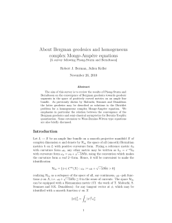 About Bergman geodesics and homogeneous complex Monge