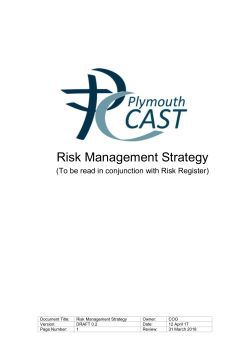 20170205-RiskStrategy v1