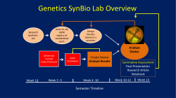 Project Overview - Biology Scholars