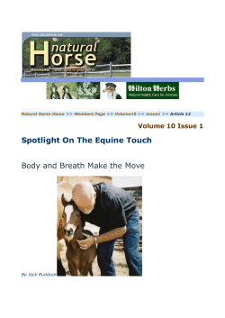 Spotlight On The Equine Touch Body and Breath Make the Move