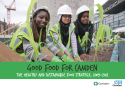 Good Food for Camden - Sustain: the alliance for better food and