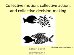 Collective motion, collective action, and collective decision