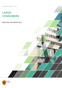 large consumers - Etat de Gen&egrave;ve