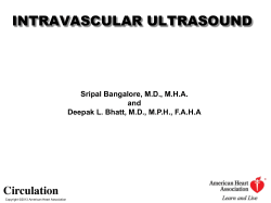 Image Interpretation