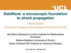 DebtRank: a microscopic foundation to shock propagation