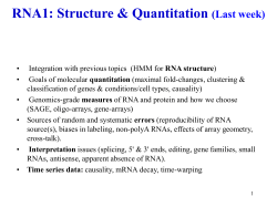 RNA Clustering