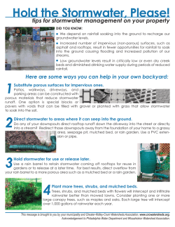 Hold the Stormwater, Please!