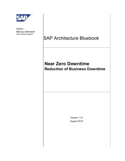 Near Zero Downtime - Reduction of Business Downtime
