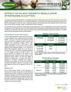 Effect of PGR Strategies in Cotton