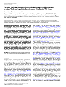 Perturbing the Action Observation Network