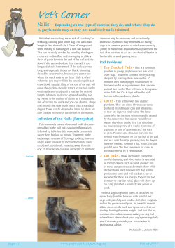 Nails - Greyhounds as Pets