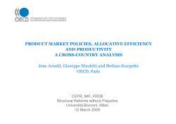 PRODUCT MARKET POLICIES, ALLOCATIVE EFFICIENCY AND