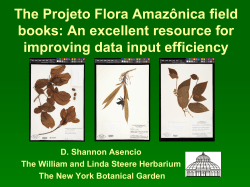 The Projeto Flora Amazônica field books: An excellent